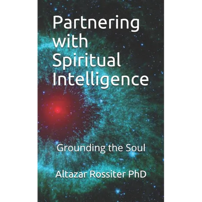 Partnering with Spiritual Intelligence: Grounding the Soul - Paperback