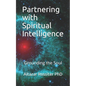 Partnering with Spiritual Intelligence: Grounding the Soul - Paperback