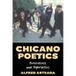 Chicano Poetics: Heterotexts and Hybridities - Paperback