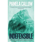 Indefensible: Book 2 of the Kate Lange Thriller Series - Paperback