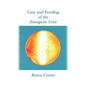 Care and Feeding of the Energetic Core - Paperback