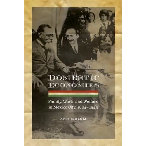 Domestic Economies: Family, Work, and Welfare in Mexico City, 1884-1943 - Paperback