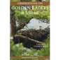 Observations of Golden Eagles in Scotland: A Historical & Ecological Review - Hardcover