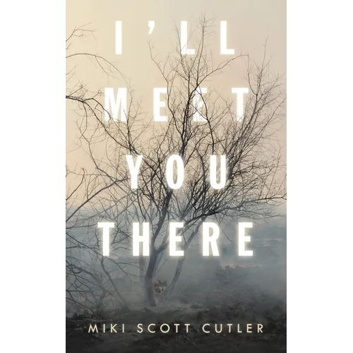 I'Ll Meet You There - Paperback