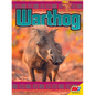 Warthog - Library Binding