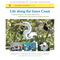 Life along the Inner Coast: A Naturalist's Guide to the Sounds, Inlets, Rivers, and Intracoastal Waterway from Norfolk to Key West - Paperback