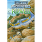 Uncanny Encounters: Roswell - Paperback