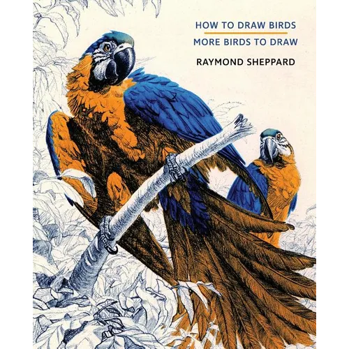 How to Draw Birds / More Birds to Draw - Paperback