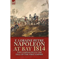 Napoleon at Bay, 1814: the Campaigns to the Fall of the First Empire - Hardcover