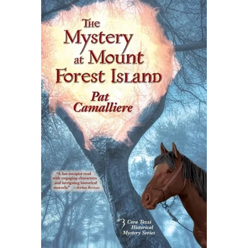 The Mystery at Mount Forest Island - Paperback