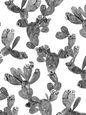 Desert Blooms Wallpaper, white and black