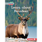 Learn about Reindeer - Library Binding