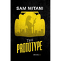 The Prototype - Hardcover