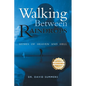 Walking Between Raindrops: Memes of Heaven and Hell - Paperback