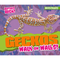 Geckos Walk on Walls! - Library Binding
