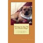 Missing my dog, My best friend: Ginger: The emotions felt after: Death of a dog - Paperback