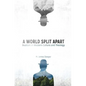 A World Split Apart: Dualism in Western Culture and Theology - Paperback