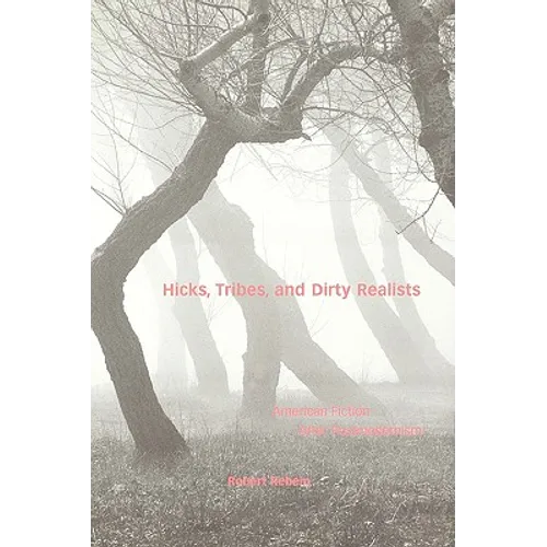 Hicks, Tribes, and Dirty Realists: American Fiction After Postmodernism - Paperback