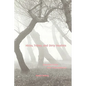 Hicks, Tribes, and Dirty Realists: American Fiction After Postmodernism - Paperback