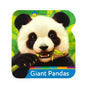 Smithsonian Kids Giant Pandas - Board Book