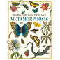 Maria Sibylla Merian's Metamorphosis: One Woman's Discovery of the Transformation of Butterflies and Insects - Hardcover