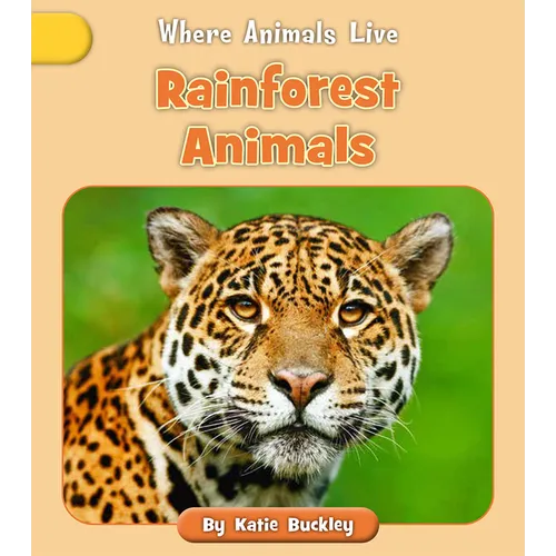 Rainforest Animals - Paperback