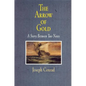 The Arrow of Gold: A Story Between Two Notes - Paperback