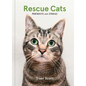 Rescue Cats: Portraits and Stories - Hardcover
