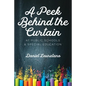 A Peek Behind the Curtain at Public Schools and Special Education - Paperback