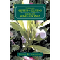 The Black Queen of Queens Is Solomon'S Song of Songs - Paperback