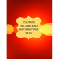 Church Income and Expenditure Log: Financial Management, Church Treasury - Paperback