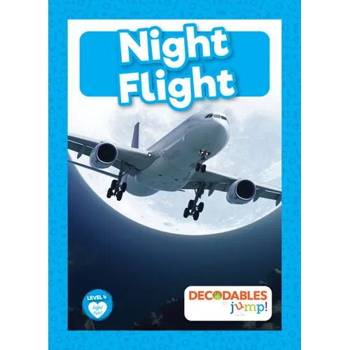 Night Flight - Library Binding