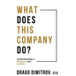 What Does This Company Do?: Understanding a Business and its Risks - Paperback