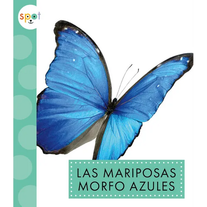 Las Mariposas Morfo Azules - Paperback