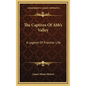 The Captives Of Abb's Valley: A Legend Of Frontier Life - Hardcover