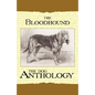 The Bloodhound - A Dog Anthology (A Vintage Dog Books Breed Classic) - Paperback