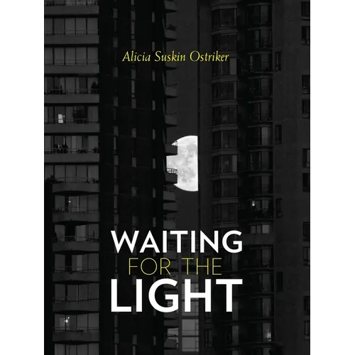 Waiting for the Light - Paperback