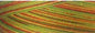 Cotton Quilting Thread 3-ply 40wt 3000yds Variegated Citrus