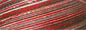 Cotton Quilting Thread 3-ply 40wt 3000yds Variegated Holiday