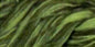 Cotton Quilting Thread Variegated 3000yd Olive Hues