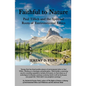 Faithful to Nature: Paul Tillich and the Spiritual Roots of Environmental Ethics - Paperback
