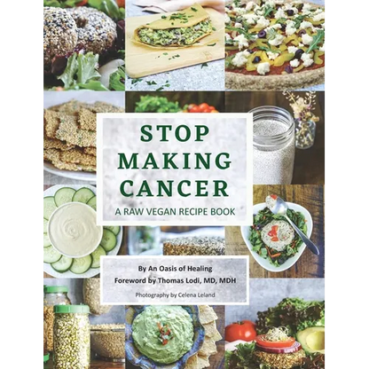 Stop Making Cancer: A Raw Vegan Recipe Book - Hardcover