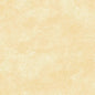 Natural Cream Crackles Cotton Wideback Fabric Per Yard