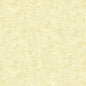 Cream Pine Boughs Star of Wonder Star of Light Cotton Wideback Fabric Per Yard