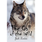 The Call of the Wild - Paperback