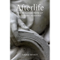 Afterlife: The Strange Fate of Literary Remains - Paperback