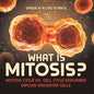 What is Mitosis? Mitosis Cycle vs. Cell Cycle Explained Diploid Daughter Cells Grade 6-8 Life Science - Paperback