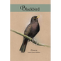 Blackbird: poems - Paperback