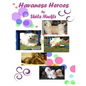 Havanese Heroes: The Adventures of Five Little Dogs - Paperback