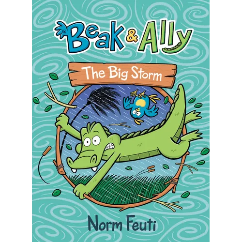 Beak & Ally #3: The Big Storm: A Graphic Novel - Hardcover
